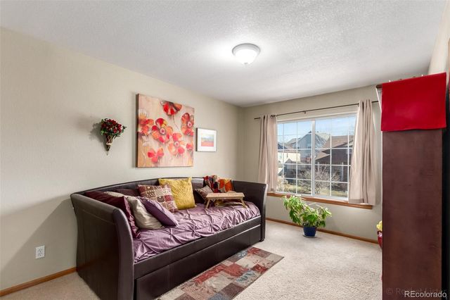 491 E 133rd Way, Thornton, CO 80241