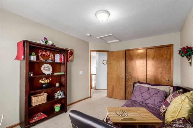 491 E 133rd Way, Thornton, CO 80241