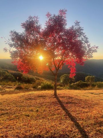 7155 Stewart Mine Rd, Placerville, CA 95667