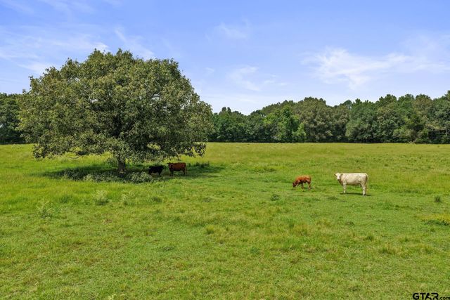 2199 CR 3150, Cookville, TX 75558