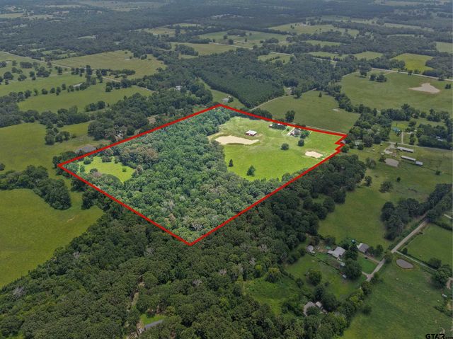 2199 CR 3150, Cookville, TX 75558