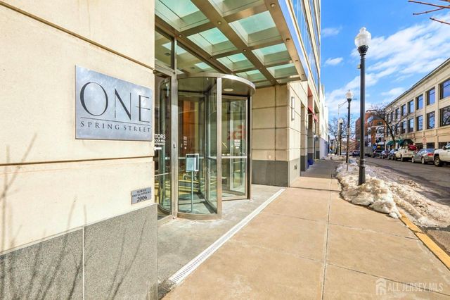 1 Spring Street 1004, New Brunswick, NJ 08901