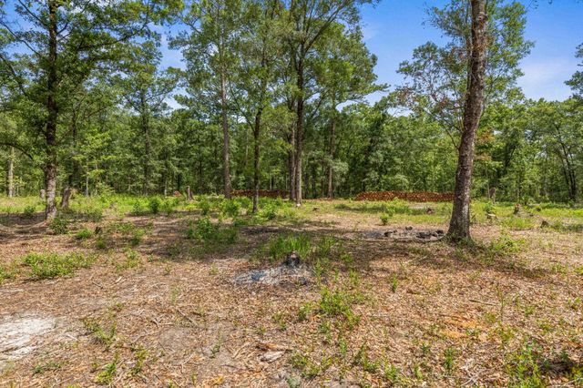 4820 Randolph Street, Hastings, FL 32145