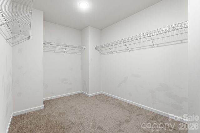 4028 Brazos Street, Charlotte, NC 28214
