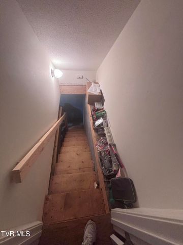 110 Ebony Lane, Gray, TN 37615