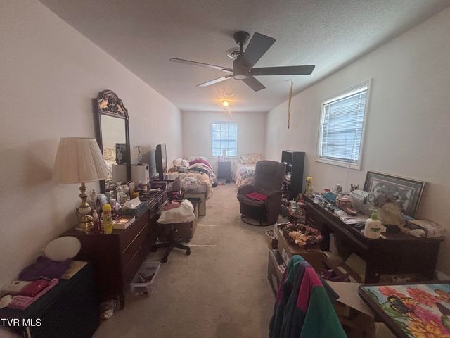 110 Ebony Lane, Gray, TN 37615