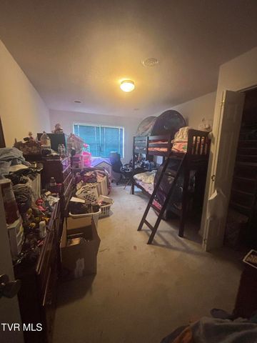 110 Ebony Lane, Gray, TN 37615