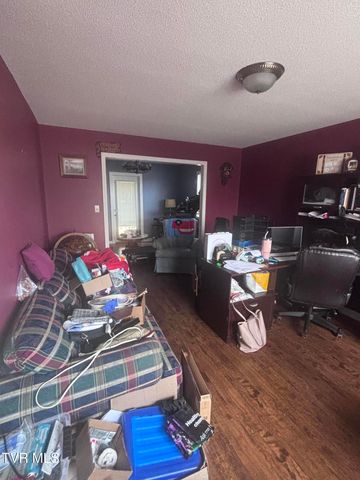 110 Ebony Lane, Gray, TN 37615