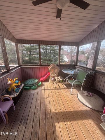 110 Ebony Lane, Gray, TN 37615