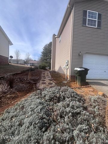 110 Ebony Lane, Gray, TN 37615