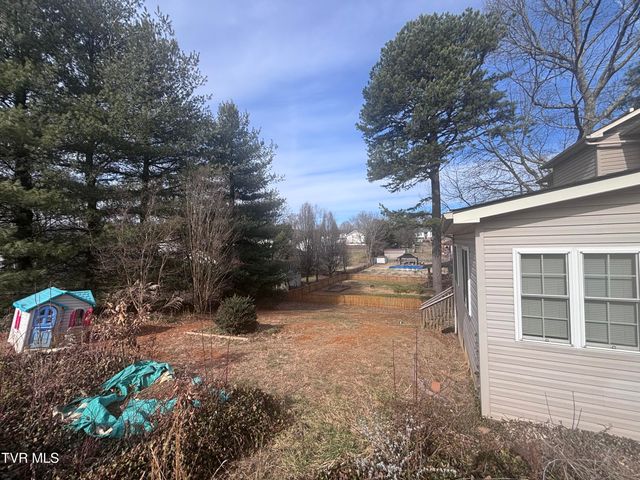 110 Ebony Lane, Gray, TN 37615