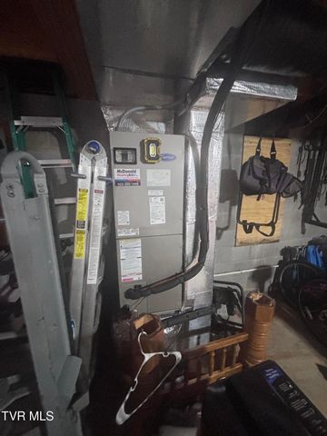 110 Ebony Lane, Gray, TN 37615