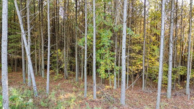 0 Legacy Drive , Lot 1153, Guild, TN 37340