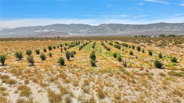 33633 Old Woman Spring Rd, Lucerne Valley, CA 92356