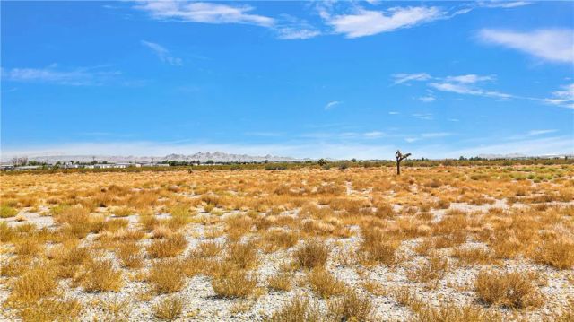 33633 Old Woman Spring Rd, Lucerne Valley, CA 92356