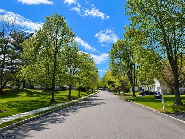 170 Smithfield Ct, Bernards Twp., NJ 07920