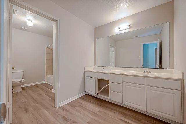 12538 Greensbrook Forest Drive, Houston, TX 77044