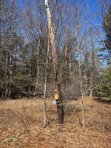 56 Bryant Rd, Cummington, MA 01026
