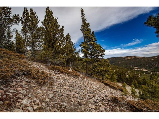 530 Hilltop Rd, Idaho Springs, CO 80452