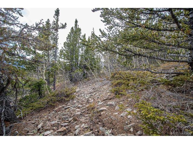 530 Hilltop Rd, Idaho Springs, CO 80452