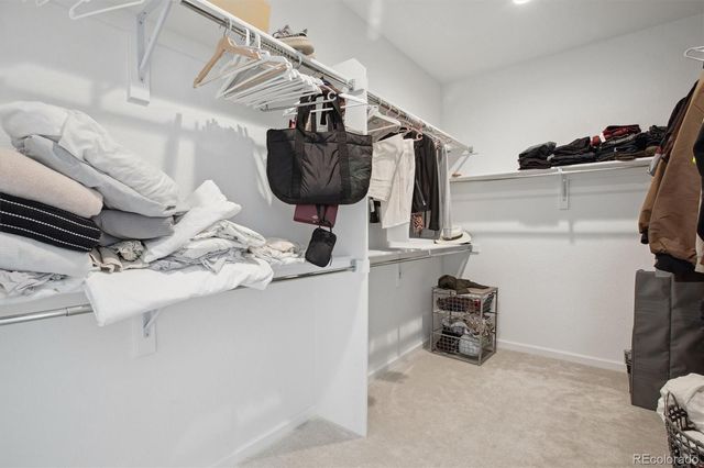 741 Simmental Loop, Castle Rock, CO 80104