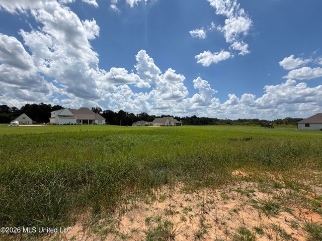930 Mulberry Drive, Brandon, MS 39047