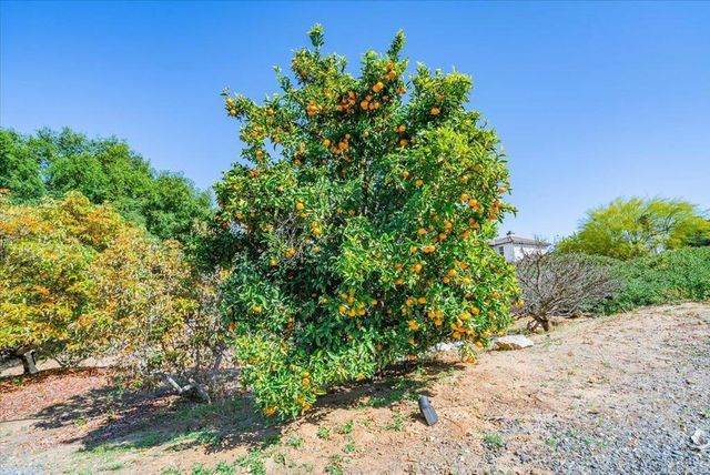 27117 Santolina Street, Valley Center, CA 92082