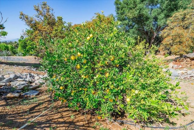 27117 Santolina Street, Valley Center, CA 92082