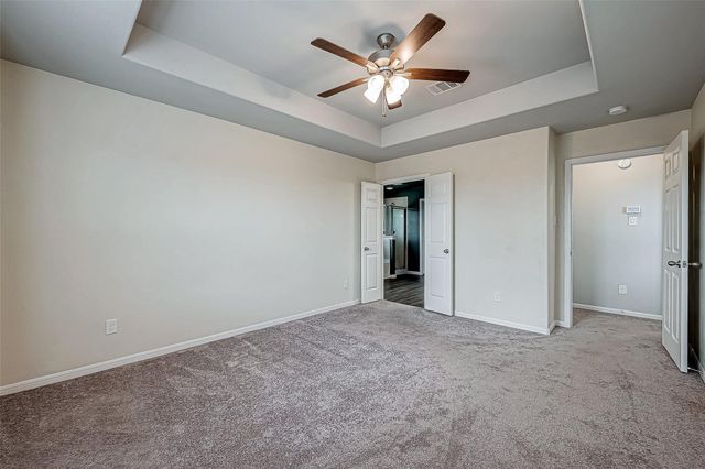315 Nettle Tree Court, Conroe, TX 77304