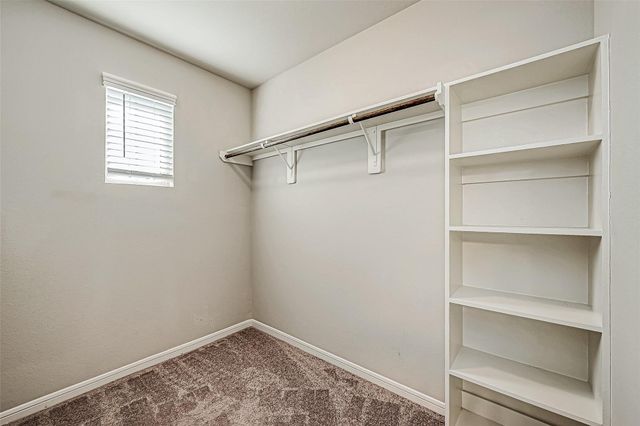 315 Nettle Tree Court, Conroe, TX 77304