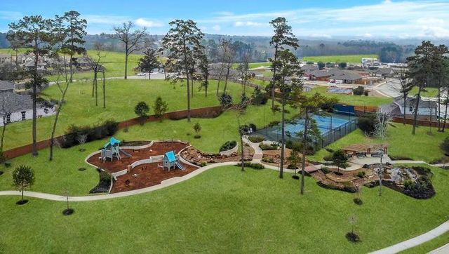 315 Nettle Tree Court, Conroe, TX 77304