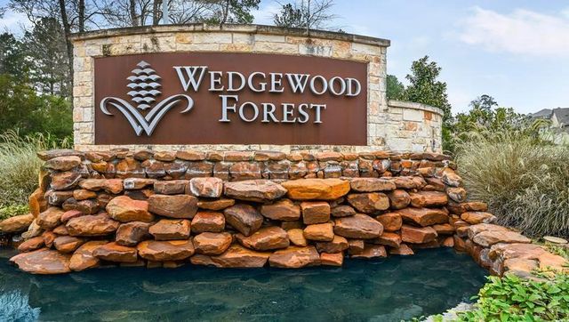 315 Nettle Tree Court, Conroe, TX 77304