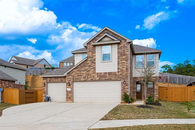315 Nettle Tree Court, Conroe, TX 77304
