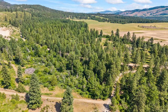 8XX Nancy Creek Rd, Kettle Falls, WA 99141