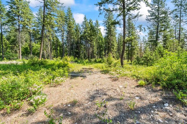 8XX Nancy Creek Rd, Kettle Falls, WA 99141