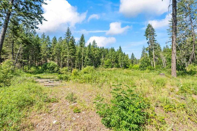 8XX Nancy Creek Rd, Kettle Falls, WA 99141