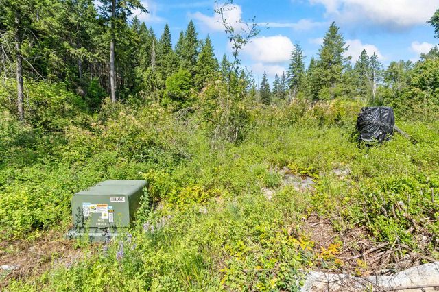8XX Nancy Creek Rd, Kettle Falls, WA 99141