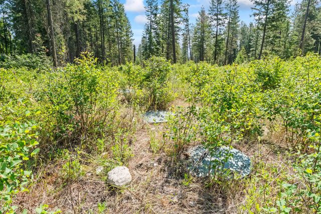 8XX Nancy Creek Rd, Kettle Falls, WA 99141