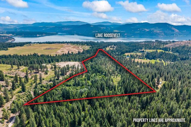 8XX Nancy Creek Rd, Kettle Falls, WA 99141