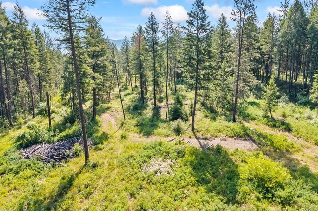 8XX Nancy Creek Rd, Kettle Falls, WA 99141
