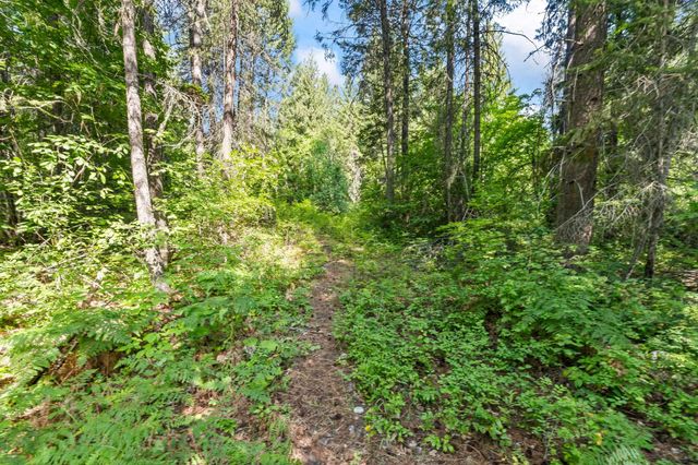 8XX Nancy Creek Rd, Kettle Falls, WA 99141