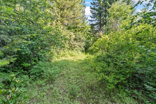 8XX Nancy Creek Rd, Kettle Falls, WA 99141