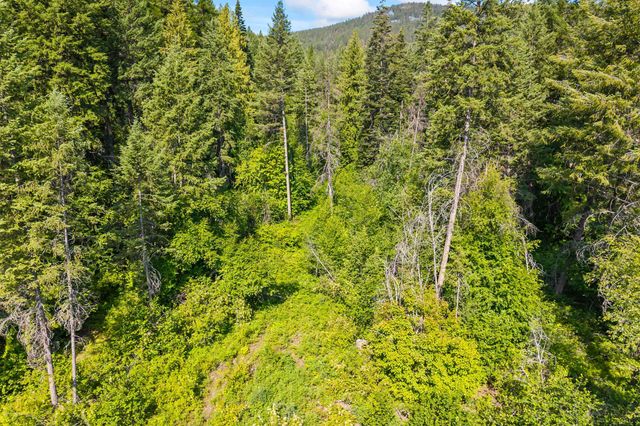 8XX Nancy Creek Rd, Kettle Falls, WA 99141
