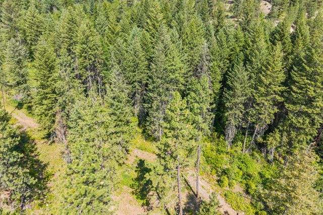 8XX Nancy Creek Rd, Kettle Falls, WA 99141