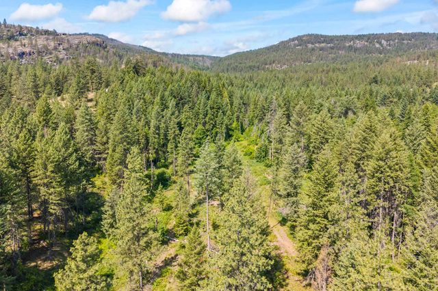 8XX Nancy Creek Rd, Kettle Falls, WA 99141