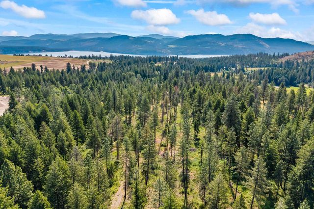 8XX Nancy Creek Rd, Kettle Falls, WA 99141