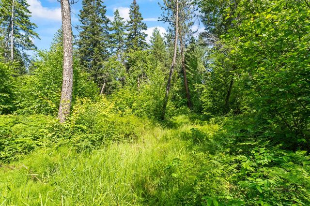 8XX Nancy Creek Rd, Kettle Falls, WA 99141