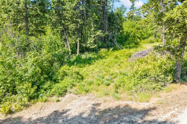 8XX Nancy Creek Rd, Kettle Falls, WA 99141