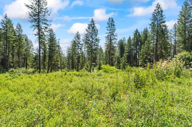 8XX Nancy Creek Rd, Kettle Falls, WA 99141