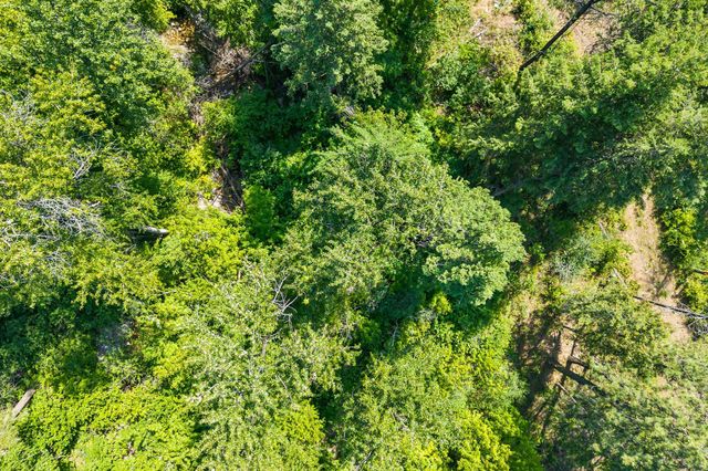 8XX Nancy Creek Rd, Kettle Falls, WA 99141